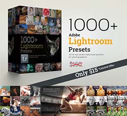 1033个Lightroom色调预设(8套合集)：1000+ Lightroom Presets Bundle